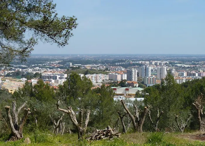 Casal Oliveiras Setúbal
