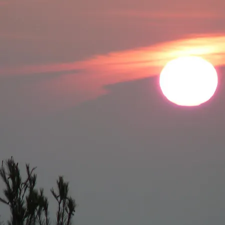 Casal Oliveiras