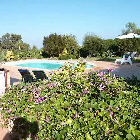 Летний дом Casal Oliveiras *