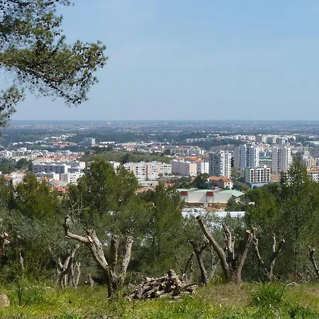 Casal Oliveiras Setúbal